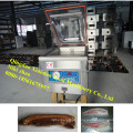 Top Sealing Machine, Small Food Vacuum Packaging Machine